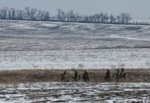 Командир ВСУ закопал мобилизованного и подделал обвинения в дезертирстве komandir vsu zakopal mobilizovannogo i poddelal obvineniya v dezertirstve-ekbonline-ru-174231793800-0