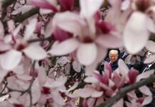 Новые горизонты европейской оборонной стратегии novye gorizonty evropejskoj oboronnoj strategii-ekbonline-ru-174143756300-0