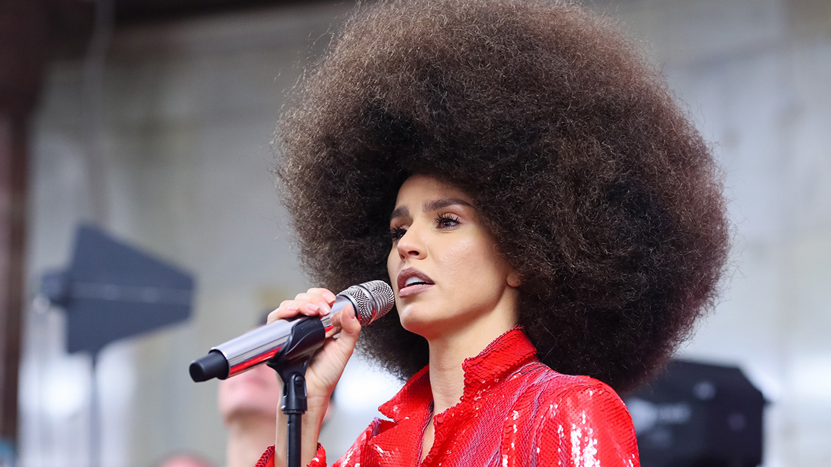 Свыше 20 человек подали в суд на певицу Zivert из-за отмененного концерта