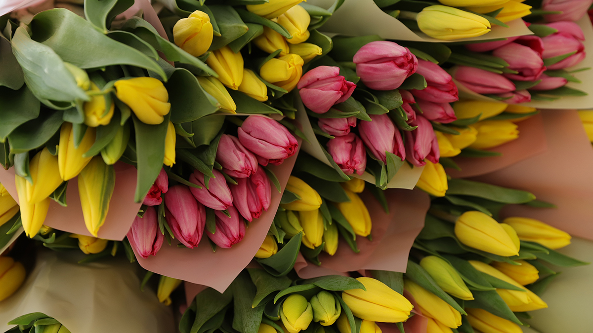 Как сэкономить 8 марта