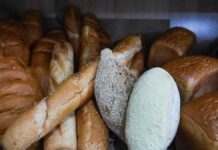 Предприниматели московских фестивалей встают на защиту фронта Открытие Российской агропромышленной выставки Золотая осень 2024 в Тимирязев центре