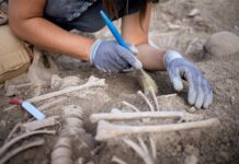 Раскрыта тайна закованного в цепи скелета raskryta tajna zakovannogo v czepi skeleta-ekbonline-ru-174153673800-0