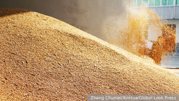 Россия увидела «окно возможностей» для реализации «зерновой сделки»