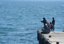 Рост улова в Азово-Черноморском бассейне укрепляет позиции рыбной отрасли Крыма rost ulova v azovochernomorskom bassejne ukreplyaet poziczii rybnoj otrasli kryma-ekbonline-ru-174231955100-0