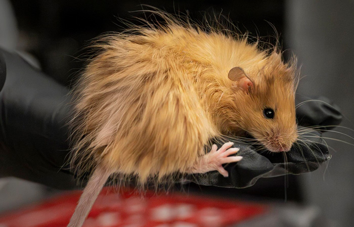 Что произошло в мире науки. Вечерний дайджест