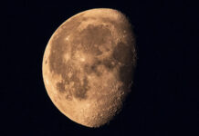 samye yarkie nauchnye otkrytiya nedeli-ekbonline-ru-174102439000-0