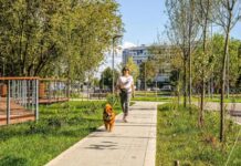 Сергей Собянин представил новые зоны отдыха у станций БКЛ и МЦД в Москве sergej sobyanin predstavil novye zony otdyha u stanczij bkl i mczd v moskve-ekbonline-ru-174234959600-0