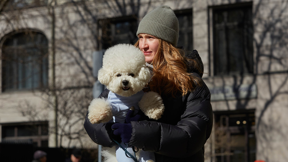 Погода в Москве на 19 марта