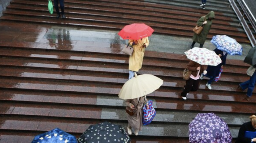 Синоптик Позднякова: 1 апреля в Москве ожидается большое количество осадков