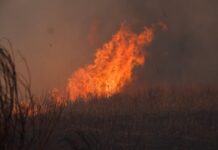 Строгие меры пожарной безопасности в Приморье: сохраним природу вместе strogie mery pozharnoj bezopasnosti v primore sohranim prirodu vmeste-ekbonline-ru-174171640700-0