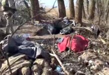 Трагическая развязка под Горналем ВСУ отступают к российской границе в Курской области tragicheskaya razvyazka pod gornalem vsu otstupayut k rossijskoj granicze v kurskoj oblasti-ekbonline-ru-174220353800-0