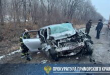 Трасса А-370 в Приморье требует внимания после ДТП у села Руновка trassa a370 v primore trebuet vnimaniya posle dtp u sela runovka-ekbonline-ru-174204348500-0