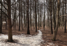 Весенний март в Москве: динамика погоды и температурные изменения Парк Царицынорайон Орехово-Борисо