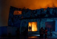 Жители Приморья объединяются с МЧС России для защиты села Авангард от природных пожаров zhiteli primorya obedinyayutsya s mchs rossii dlya zashhity sela avangard ot prirodnyh pozharov-ekbonline-ru-174283511100-0