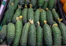 Анна Дивинская делится продуктами для здоровья почек и советами экспертов anna divinskaya delitsya produktami dlya zdorovya pochek i sovetami ekspertov-ekbonline-ru-174485549600-0