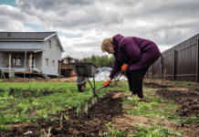 Екатерина Соколовская и Яндекс Недвижимость предлагают весенние возможности для дачи ekaterina sokolovskaya i yandeks nedvizhimost predlagayut vesennie vozmozhnosti dlya dachi-ekbonline-ru-174534480500-0