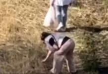 Евгения Хрусталева призывает к бдительности в Домодедово после поджога травы evgeniya hrustaleva prizyvaet k bditelnosti v domodedovo posle podzhoga travy-ekbonline-ru-174524390900-0
