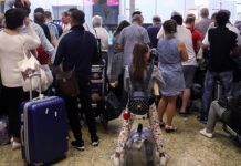 AlMasria Universal Airlines и Шереметьево - забота о туристах при задержках рейсов i sheremetevo zabota o turistah pri zaderzhkah rejsov-ekbonline-ru-174518217200-0