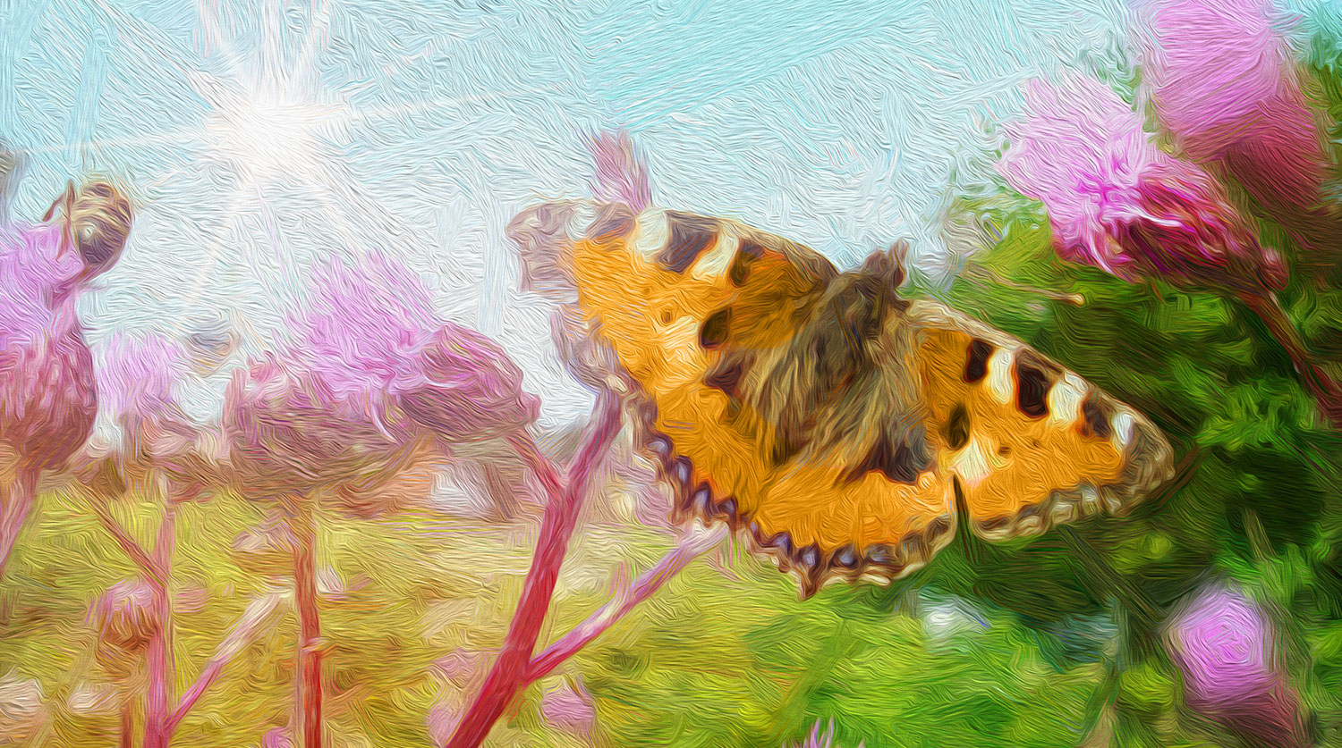 Исследование Университета Джорджии открывает новые пути защиты бабочек Danaus от Ophryocystis elektroscirrha-0