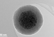 Магнитные наночастицы управляют клетками с поддержкой Российского фонда magnitnye nanochasticzy upravlyayut kletkami s podderzhkoj rossijskogo fonda-ekbonline-ru-174530639100-0