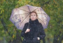 МЕТЕО и Фобос прогнозируют весенние морозы в Москве 27 апреля meteo i fobos prognoziruyut vesennie morozy v moskve 27 aprelya-ekbonline-ru-174574249900-0