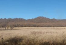 Михаил Мишустин заявил о новых стандартах освоения земель и решениях Росреестра mihail mishustin zayavil o novyh standartah osvoeniya zemel i resheniyah rosreestra-ekbonline-ru-174595923400-0