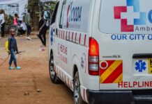 Нападение льва на подростка в Кении остаётся без последствий napadenie lva na podrostka v kenii ostayotsya bez posledstvij-ekbonline-ru-174517276700-0