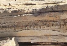 Немецкие ученые открыли древние подземные ходы в Намибии и странах Ближнего Востока nemeczkie uchenye otkryli drevnie podzemnye hody v namibii i stranah blizhnego vostoka-ekbonline-ru-174417570300-0