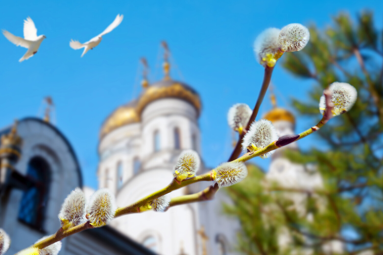 Патриарх Кирилл возглавил празднование Вербного воскресенья в преддверии Пасхи-0
