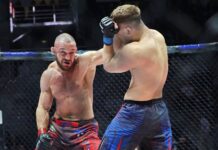 shalomaev i valuev stali geroyami yarkogo turnira po pankrationu vo vladivostoke-ekbonline-ru-174596301500-0