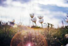 Теплые перспективы Приморья и Дальнего Востока на ближайшие полгода teplye perspektivy primorya i dalnego vostoka na blizhajshie polgoda-ekbonline-ru-174353941200-0