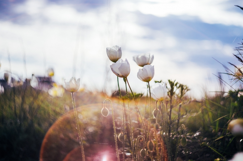 Фото: primamedia.ru