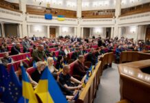 ugrozy i provokaczii pered resheniem verhovnoj rady dmitruk o davlenii na deputatov-ekbonline-ru-174480949900-0