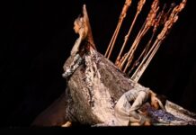 ural balet i yuliana lajkova daryat kamennomu czvetku ognennoe pererozhdenie-ekbonline-ru-174377413500-0