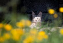 В Приморье неделя началась с теплой и ясной погоды в городах края v primore nedelya nachalas s teploj i yasnoj pogody v gorodah kraya-ekbonline-ru-174540003400-0