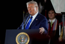 Дональд Трамп и тайная сделка США с Украиной в контексте редкоземельных металлов donald tramp i tajnaya sdelka ssha s ukrainoj v kontekste redkozemelnyh metallov-ekbonline-ru-174637206800-0