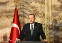 Эрдоган и Зеленский провели экстренную встречу из-за ультиматумов Путина и Трампа erdogan i zelenskij proveli ekstrennuyu vstrechu izza ultimatumov putina i trampa-ekbonline-ru-174730210300-0