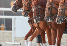 ФКСР раскрыла детали громкого решения о смене гражданства Софии Васильевой fksr raskryla detali gromkogo resheniya o smene grazhdanstva sofii vasilevoj-ekbonline-ru-174661608600-0