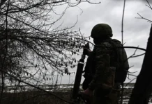 Максим Иванов и Минобороны раскрыли судьбу бойца Александра К. на фронте СВО maksim ivanov i minoborony raskryli sudbu bojcza aleksandra k na fronte svo-ekbonline-ru-174799621200-0