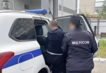 Необычные подробности дела подростка из Бердянска и Александра Пичушкина neobychnye podrobnosti dela podrostka iz berdyanska i aleksandra pichushkina-ekbonline-ru-174782599200-0