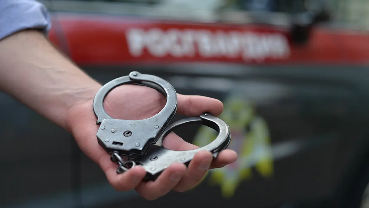 Криминалист Игнатов составил портрет 14-летней поклонницы битцевского маньяка