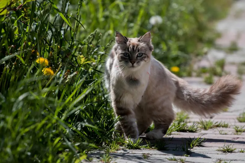 Фото: primamedia.ru