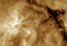 Прогноз ИКИ и ИСЗФ РАН о солнечной активности и магнитных бурях на Земле prognoz iki i iszf ran o solnechnoj aktivnosti i magnitnyh buryah na zemle-ekbonline-ru-174871534600-0