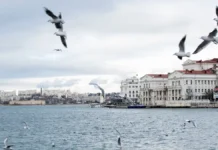 ПВО уничтожила вражеские беспилотники над Черным морем в Севастополе и Ялте pvo unichtozhila vrazheskie bespilotniki nad chernym morem v sevastopole i yalte-ekbonline-ru-174737136600-0