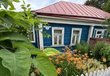 Роскачество и Союз садоводов России напомнили о правильном хранении удобрений на даче roskachestvo i soyuz sadovodov rossii napomnili o pravilnom hranenii udobrenij na dache-ekbonline-ru-174756340700-0