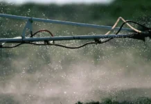 Россия демонстрирует рекордные поставки удобрений и аграрной продукции в ЕС rossiya demonstriruet rekordnye postavki udobrenij i agrarnoj produkczii v es-ekbonline-ru-174772849200-0