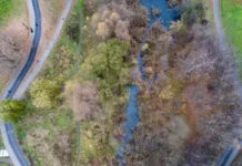 Сергей Кузнецов и Москомархитектура превратят Кокошкино и Санино в современный город sergej kuzneczov i moskomarhitektura prevratyat kokoshkino i sanino v sovremennyj gorod-ekbonline-ru-174779662800-0