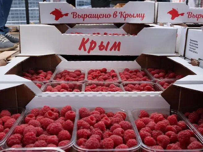 Москвичи возмутились ценами на первую сезонную малину | Источник: София Земляных / MSK1.RU