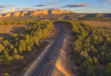 Спустя 50 лет обнаружены останки Дугласа Брика и подтверждено предсказание экстрасенса для Донны Брик spustya 50 let obnaruzheny ostanki duglasa brika i podtverzhdeno predskazanie ekstrasensa dlya donny brik-ekbonline-ru-174764732200-0