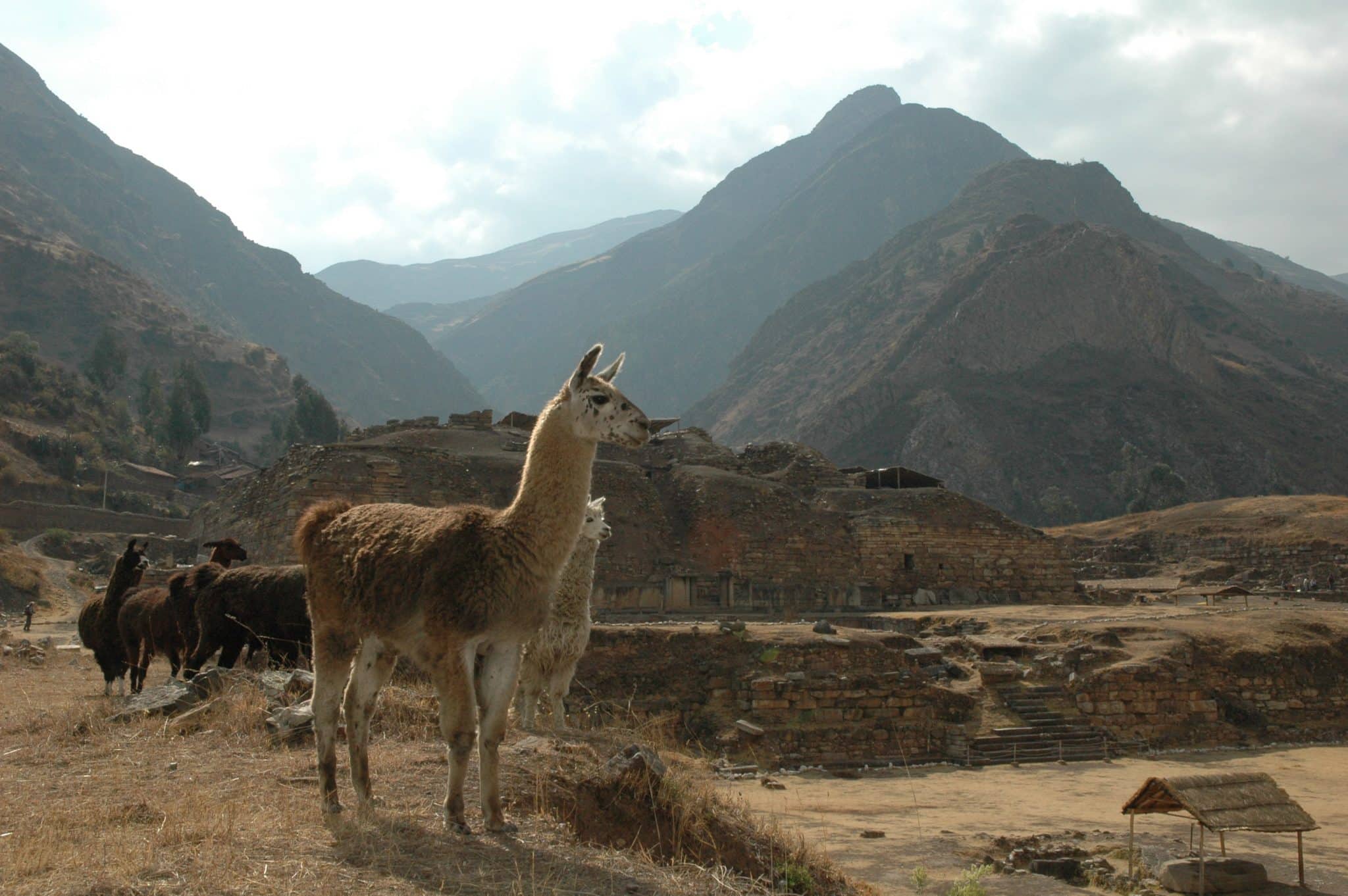 Тайна власти и мистические ритуалы чавинской культуры в Чавин-де-Уантар-0